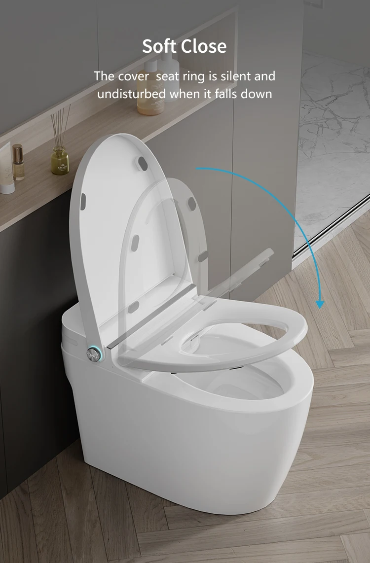 product mubi simple version bathroom smart toilet ceramic sanitary wc electric automatic intelligent bidet smart toilet-59