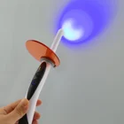 Dental Hot Sale High Quality Performance Original Real Woodpecker Brand O-Light 1s Cure Dental LED Curing Light