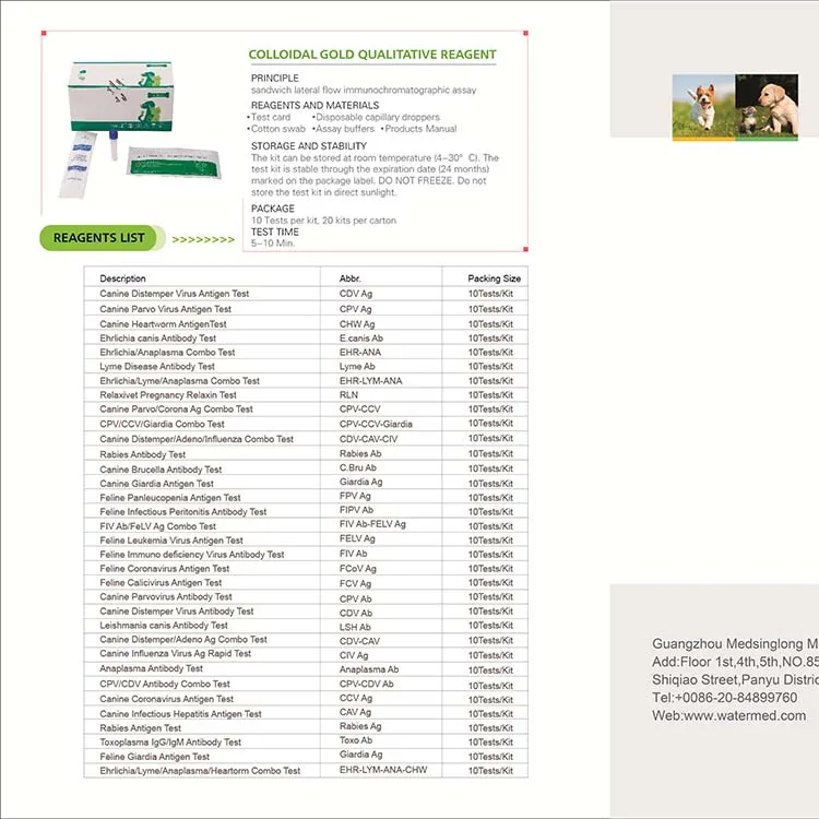 ** Understanding PET Scan Machines: Revolutionizing Cancer Diagnosis and Monitoring 