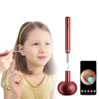 Portable Ear Cleaning Wi-fi Visual Ear Camera 3.9mm Portable Ear Pick Cleaning Kit For Adults Kids Pets Silver