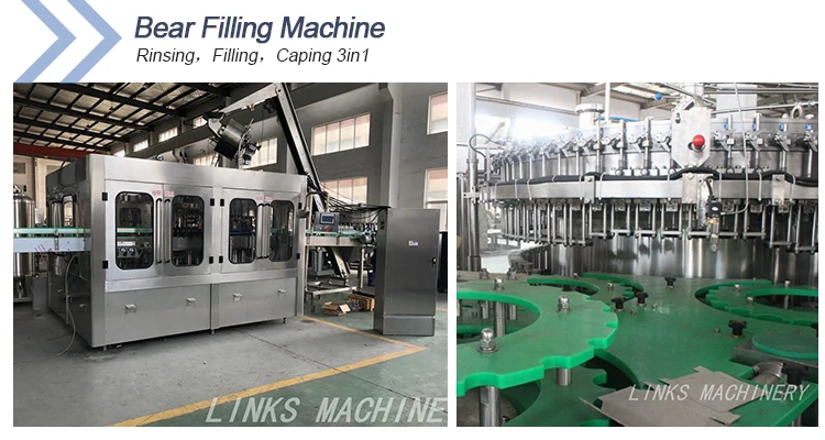 Complete Beer Bottling Plant Glass Bottle Rinsing Filling Capping 3 in 1 Production Line supplier