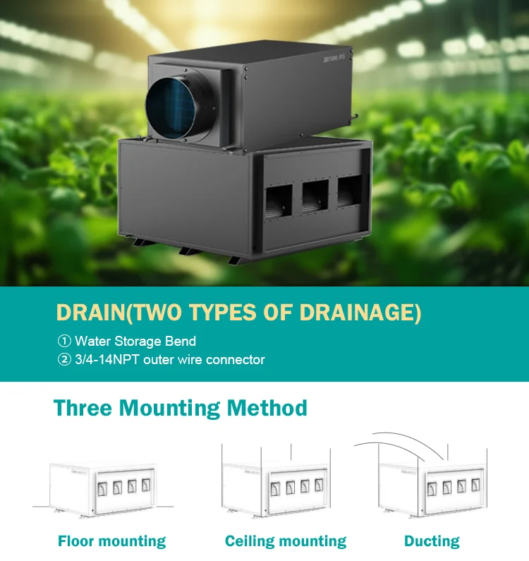 Ceiling Mounted Industrial Dehumidifier, 26L, Ducted - detail 16