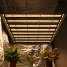 Led Led Grow Light Led Driver Fogrooo 202 SG Led Grow Light Fixture Samsung LM301B/LM301H Inventronics Driver