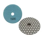 Diamond 1 Diamond Polishing Pads 4" Inch Wet/Dry Set Of 11 1 Backer Pad