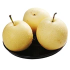 Top quality sweet juicy Chinese fresh crown pear