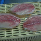 Ikan Nila Whole Round Frozen Tilapia Poisson Skin On Fillet Wgs Fish Nourriture Pour Buy Red