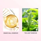Control Dandruff Shampoo Herbal Fluffy Lasting Fragrance Antipruritic Oil Control Dandruff Shampoo