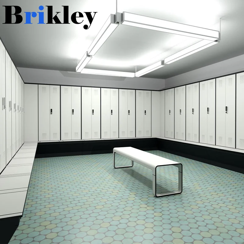 Brikley Waterproof Colorful Fitness Club HPL Locker with Bench factory