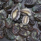 Abalone Abalone Cheap Frozen Abalone For Sale With Seafood Frozen Abalone