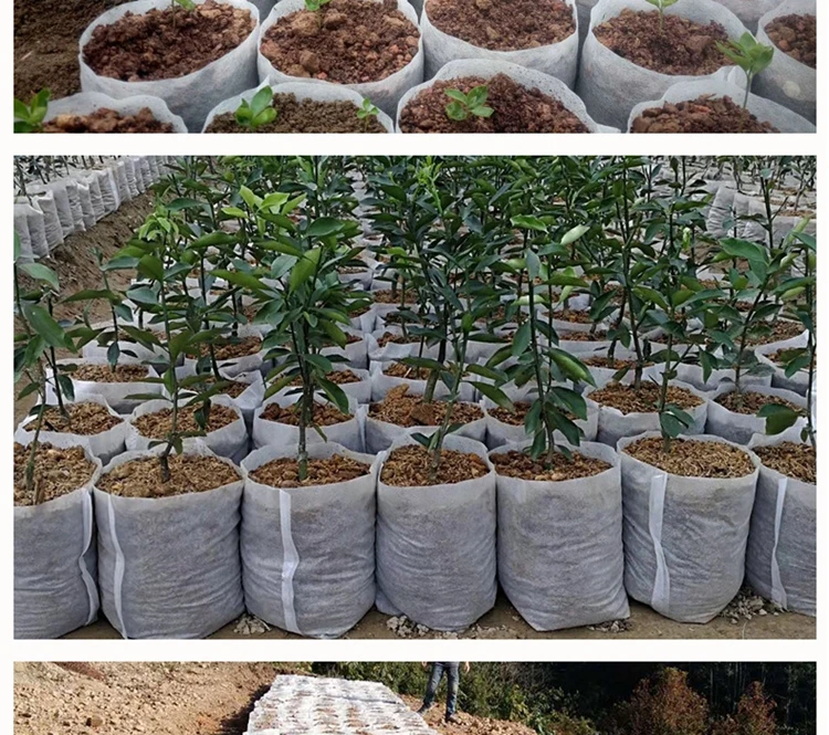 Biodegradables blancos no tejidos crecen bolsos que la planta crece el bolso 2