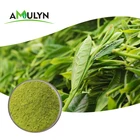 Natural Green Tea Premium Natural Matcha Green Tea Powder
