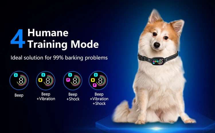 hot selling products 2024 dog smart collar 8 sensi