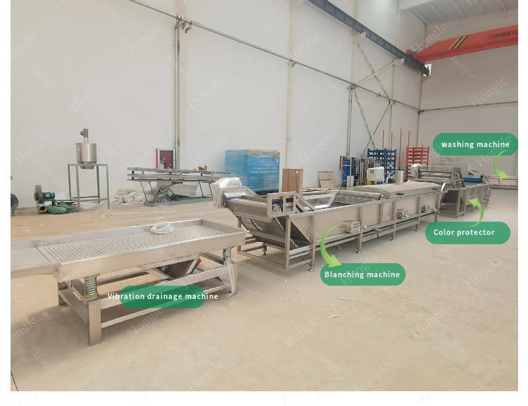 Mango Drying Plant Banana Chips Electric Cutting Apple Making Dried Fruit Apricots Drying Machine Production Line factory