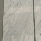 Good Price Italian Natural Stone Tiles Floor Marble Statuario Venato White Marble