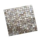 Shell Tile Tile Floor Tile New Design Natural Shell Mosaic Floor Wall Tile Wholesale