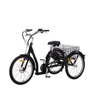 Trike Bike Electric Adult Tricycle Electric Trike 24 Inch 3 Wheel Bike For Old People