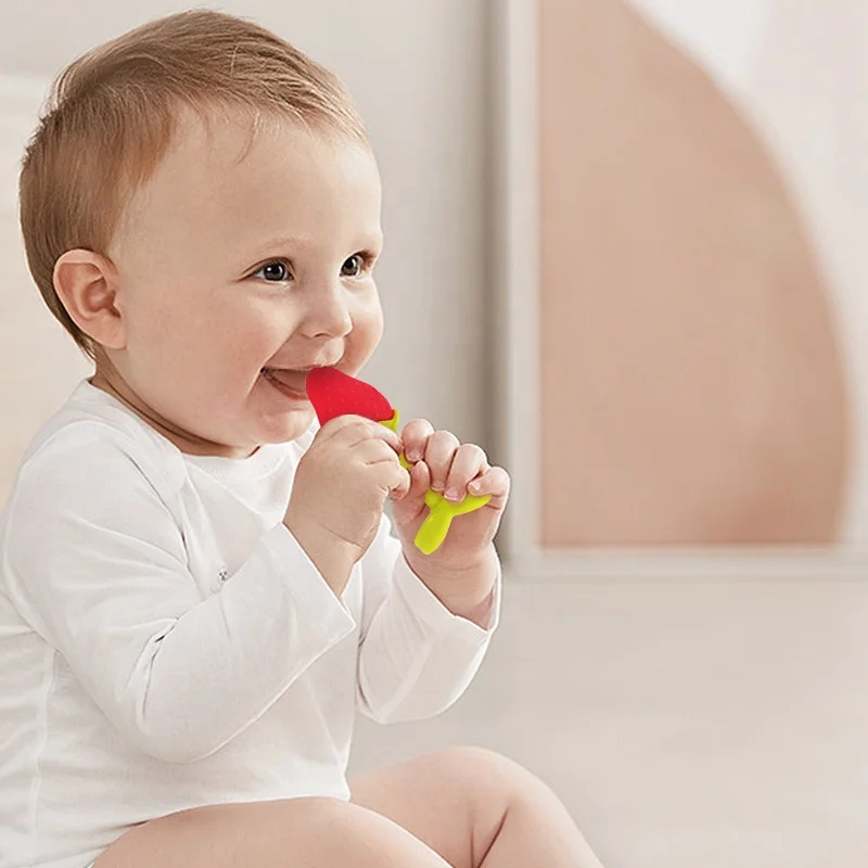 Wellfine New Bpa Free Silicone Baby Fruit Teether Toys Wholesale Silicon Food Grade Neutral Kids Hand Chew Teethers