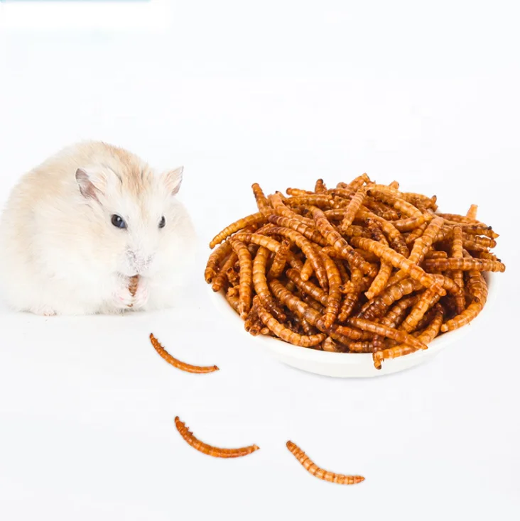 pet food bird food
