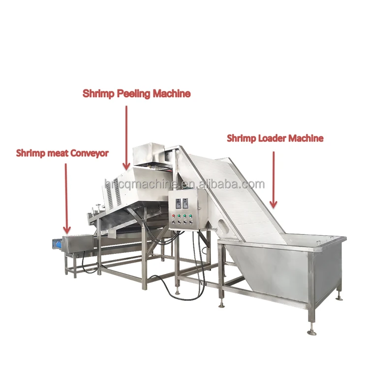 Shrimp Grader Machine Prawn Size Grading Machine Shrimp Processing Line