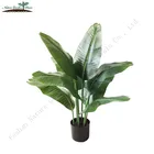 Decorative Banana Decoration Plant Homes Decor Decorative Outdoor Strelitzia Banana Tree Plant For Home Decoration