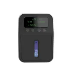 Hydrogen JH-H600 PEM Hydrogen Inaler Hydrogen Breathing Machine Hydrogen Inhalation Machine For Healthy
