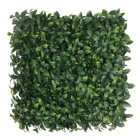 Uv Protect Foliage Boxwood Hedge Plastic Green Artificial Grass Wall Panels For Home Backdrop