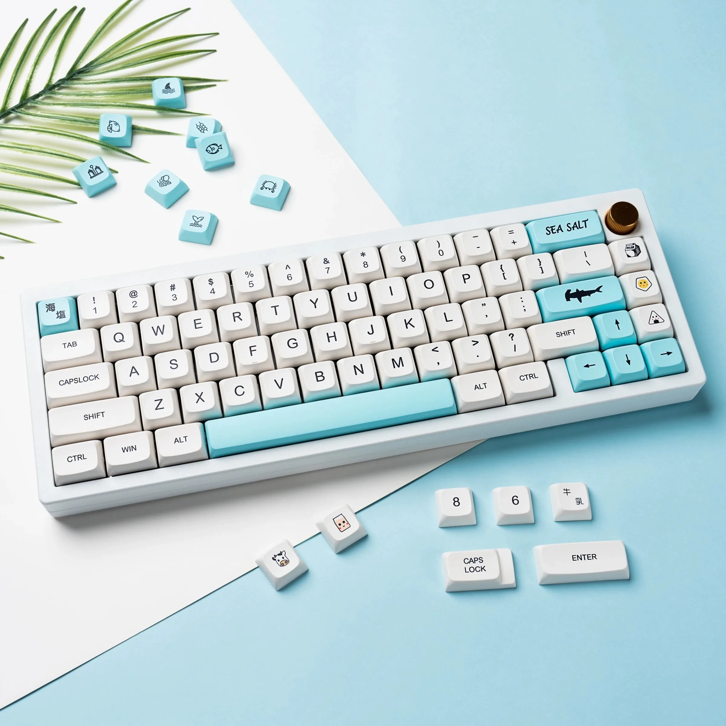 Hzgamer Keys Xda Profile Sea Salt Pbt Keycaps Dye Sub Keycap Buy