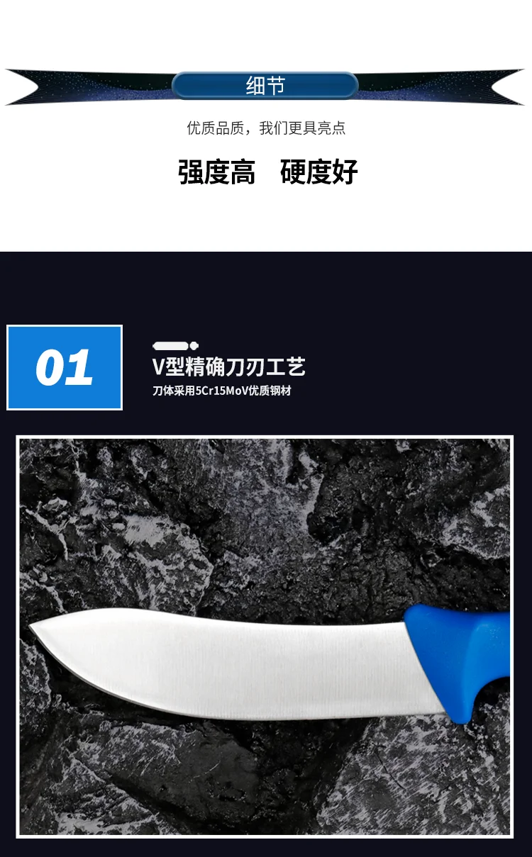 _12 (11).png