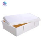 Food Tray Food Grade Bakery White Bread Pizza Dough Proofing Tray Box Plastic With Lid