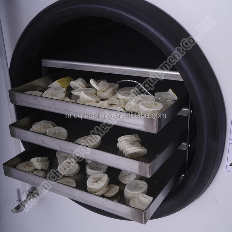 Industrial Vacuum Freeze Dryer Freeze Dryer For Home Use Mini Freeze