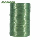 Pp String Raffia String Small Roll PP Raffia String Plastic Raffia String For Garden Plant Binding