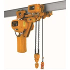 Hoist/ Hoist 2020 Hot Selling Chain Electric Hoist/ Chain Block Hoist/ Electric Chain Hoist 1ton