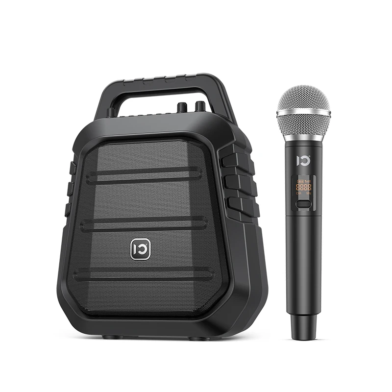 sound mic portable