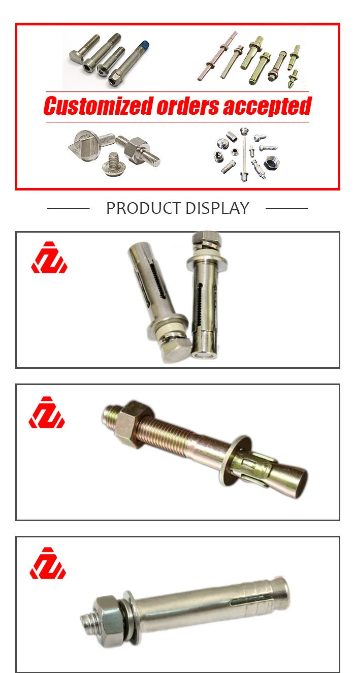 Stainless Steel Anchor Bolt with Washer and China Bolts and Nuts