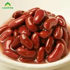Beans Beans Red Kidney Beans Price Quality Assurance Preserved Fresh Canned Vegetables Red Kidney Beans