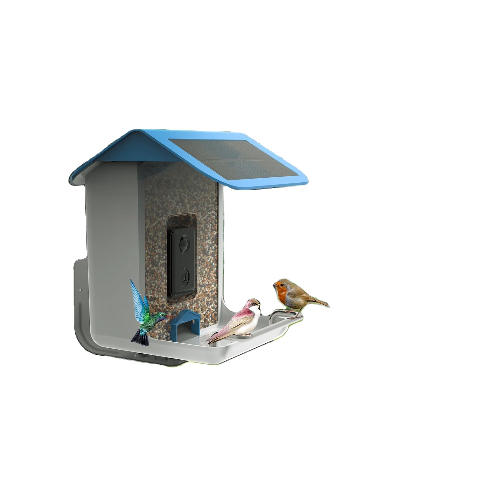 seed bird feeder with camera