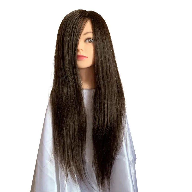 Cosmetology 100% Real Human Hair Salon Practice Hairdresser Training Head Mannequin  Dummy Doll Mannequin Head With Shoulders - Buy Barber Shop Mannequin  Training Head,Practice Hair Cutting Training Head,Salon Teaching Training  Head Product