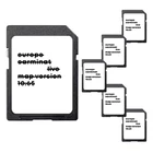 Live Direct Sales Support OEM Labels 8GB Plastic Navigation Card For Renault Live 10.65