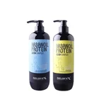Beauty Hair Delofil Argan Oil Pure Beauty Repair Sulfate Free Wholesale Private Lable Hair Shampoo