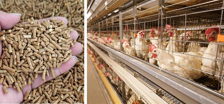 Feed Pellet Plant Free Customized Cattle Livestock Animal Chicken Poultry Feed Pellet Machine for Animal Feeds