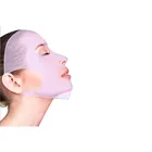 Face Moisturizing New Female Beauty Care Silicone Face Mask Cover Moisturizing Facial Mask
