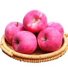 Apple Manufacturer Price Top Guality Fresh Royal Fruit Newzland Gala Apple
