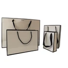 Paper Bag Bags Paper Bags 2020 New Design Custom Logo Recycle Carry Packaging Handle Paper Gift Bag