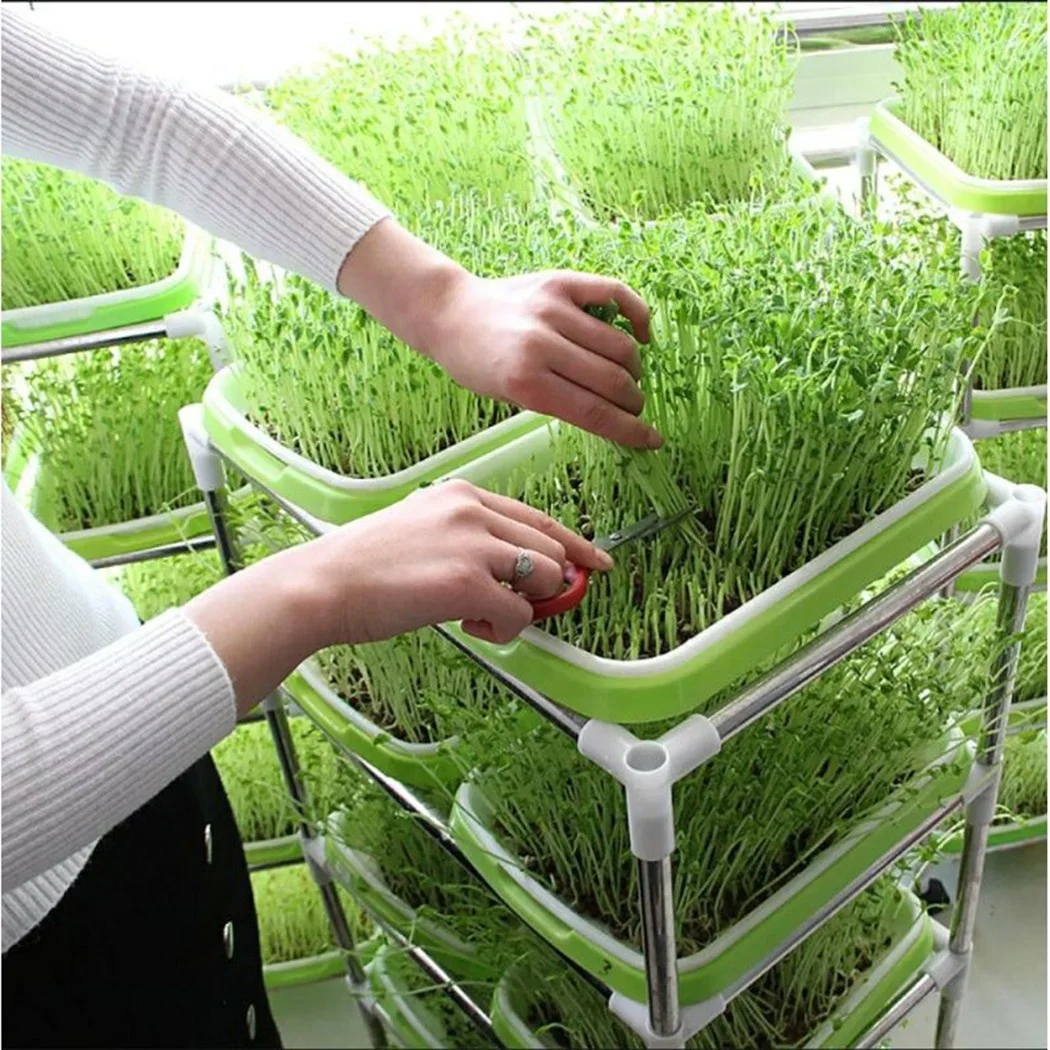 Bean Sprouts Growing Tray With Shading Cover Seed Seedling Starter Dish