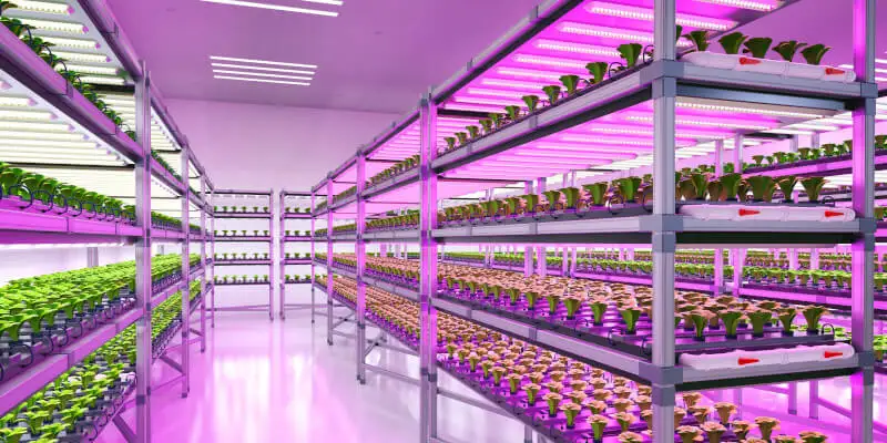 การปลูกพืชไร้ดินในร่มแบบปลูกพืชไร้ดินในเชิงพาณิชย์ระบบปลูกพืชไร้ดินระบบไฮโดรโปนิกส์เรือนกระจกไฮโดรโปนิกส์ภาชนะฟาร์ม 21