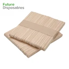 Sticks Wood Biodegradable Bamboo Ice Cream Sticks Engraved Popsicle Sticks