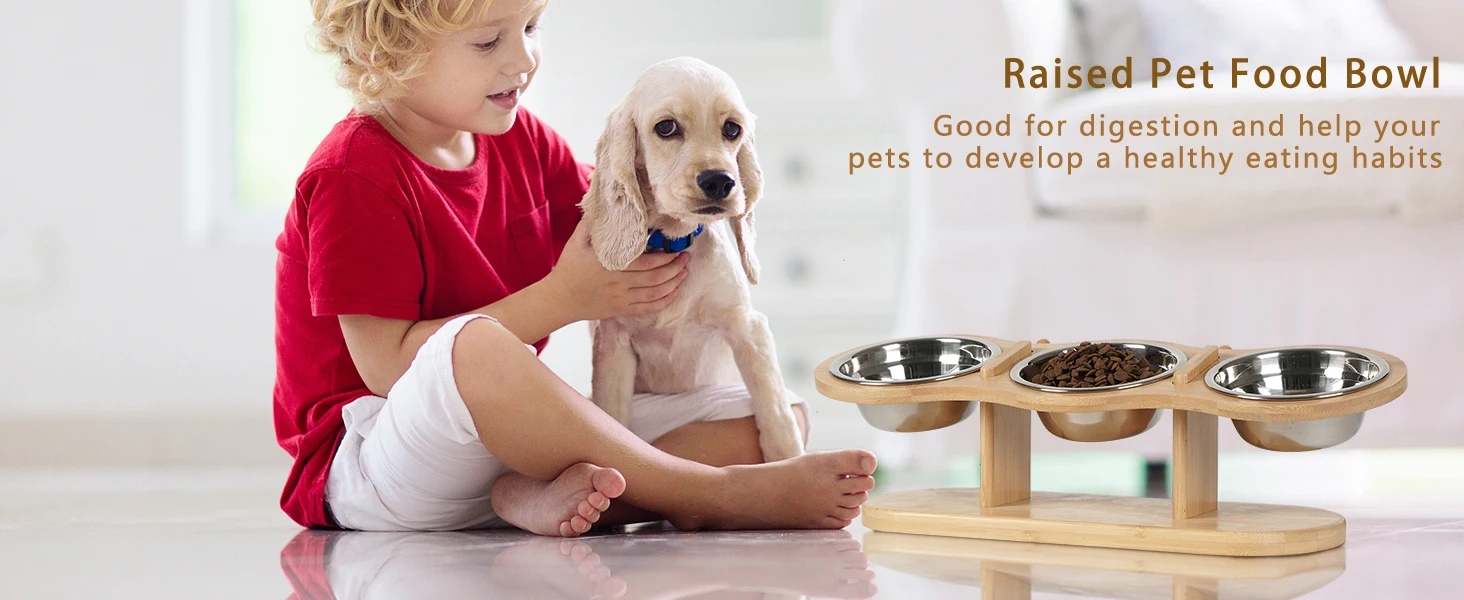 3 Bowl Cat Feeder