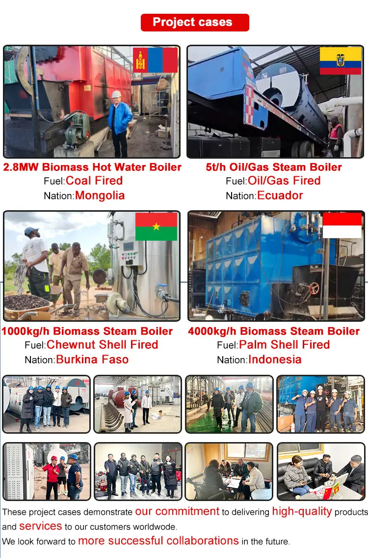 Steam Boiler, 220 V, Natural Circulation - detail 20