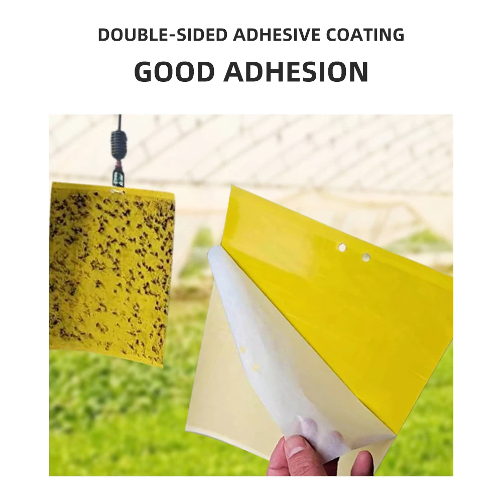 Customized double-sided yellow sticky insect board with strong adhesion to capture pests, outdoor small flying insect trap