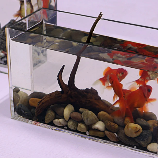 plexiglass fish tank